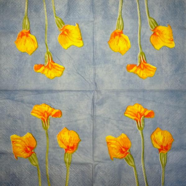 035 Calla - 3-ply